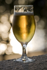 Glass of beer at sunset