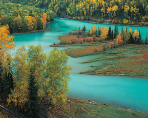 landscape of Kanas in Xinjiang, China - obrazy, fototapety, plakaty