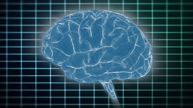 Brain assembling 3D Blueprint to Color