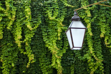 Old street lamp in Dubrovnik