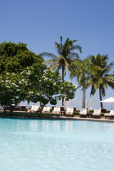 Obraz premium Swimming pool on a sunny day.Pattaya city in Thailand