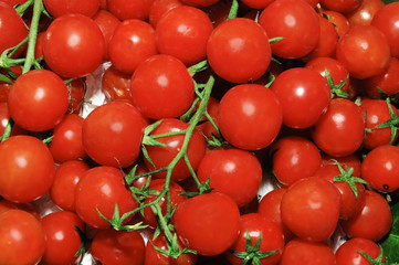 tomates