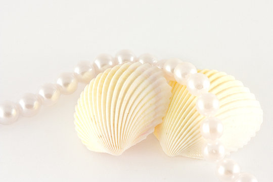 Shells and rope of pearls