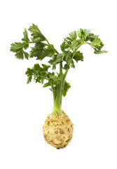 Root of celery with leaves isolated