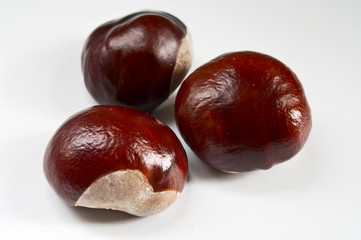 Herbstfrüchte