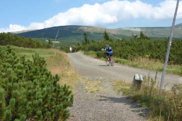 Obraz premium Mountainbiking