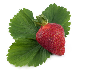 Red Strawberry with Strawberry Leaves