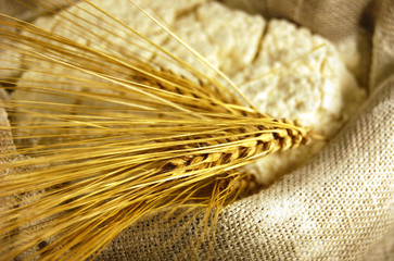 Wheat