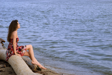 Beautiful girl sit on tree on sea coast