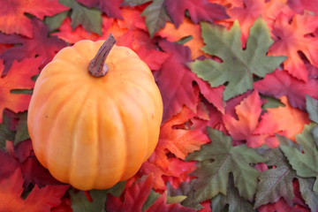 Fall leaves and pumpkin