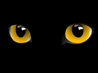 Eyes of cat.