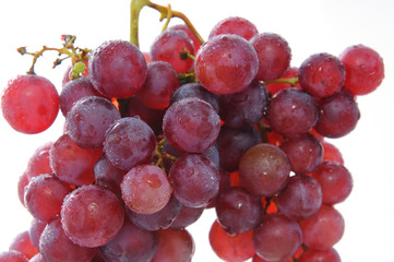 red grape