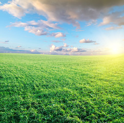 green field and beautiful sunset