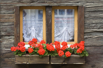 Fenster mit Blumenkasten