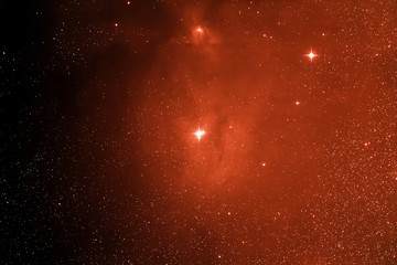 Rho Ophicus region