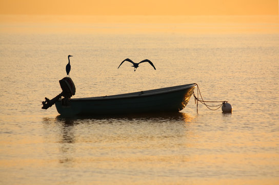 Fischerkahn mit Fischreihern im Sonnenuntergang/Sonnenaufgang