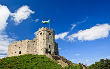 Cardiff Castle - 17027198