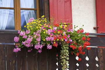 Fototapeta na wymiar Blumenkasten auf einem Balkon