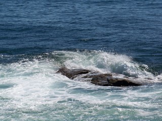 Fototapeta premium Rocks and waves off Maine Coast
