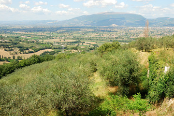 Fototapeta na wymiar Umbria, panorama