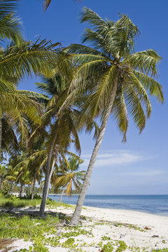 Dominican island