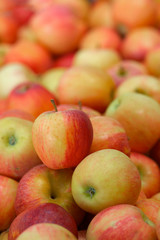 pile of red apples