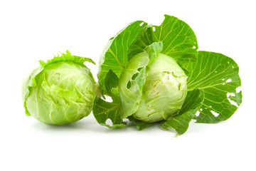 Fototapeta premium Green cabbage-heads