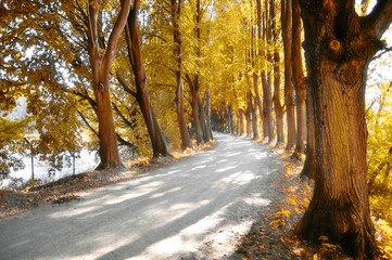 Herbst