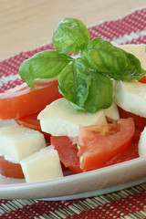 delicious mozzarella salad with fresh organic tomato