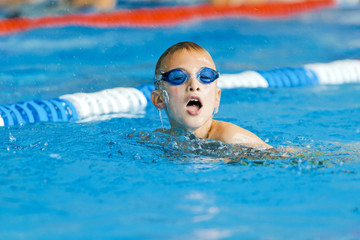 Brustschwimmen
