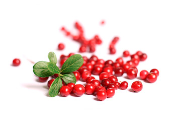 Red cranberries.