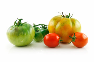 Ripe Wet Red and Yellow Tomatoes Isolated on White
