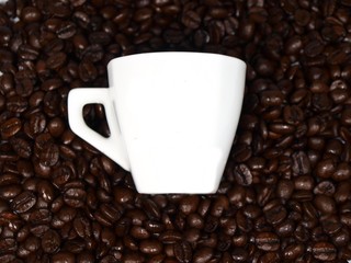 White empty cup of coffee on coffee beans background