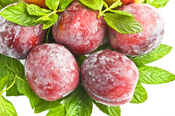 red plums on a white background