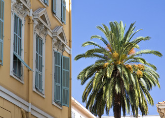 Fototapeta na wymiar Drzewo Fasada i palm na Starym Mieście w Nicei