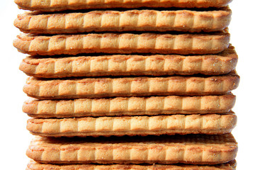 cookie on white background