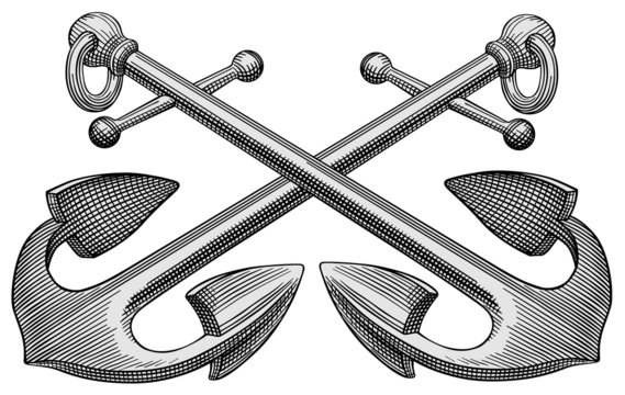 Two Anchors Vector