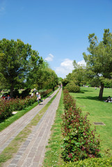 Vialetto nel parco