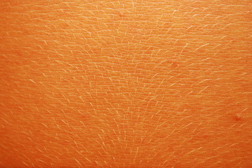 Fototapeta premium Skin Texture
