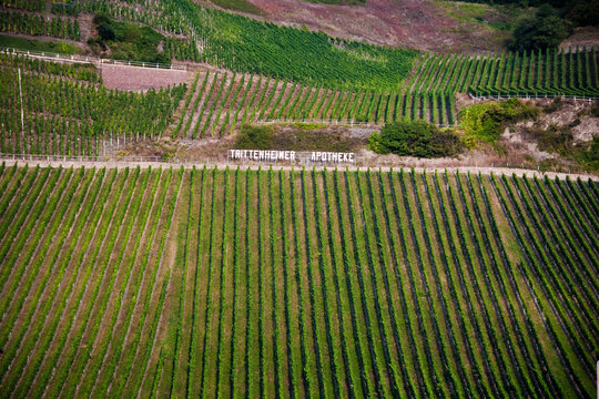 Weinanbaugebiet Trittenheimer Apotheke