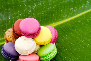 Macarons des îles