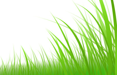 gras-wiese-illustration-vektor