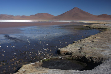 Laguna Colorada