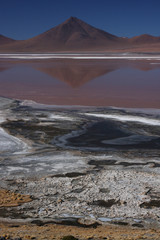 Iles de borax sur la Laguna Colorada