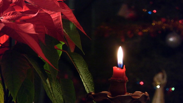 Navidad