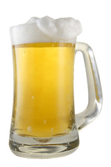 Glass of Beer