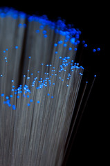 Optical fibers