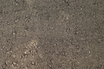 asphalt
