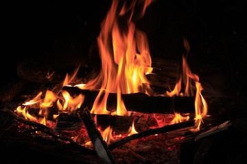 Feu