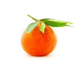 tangerine